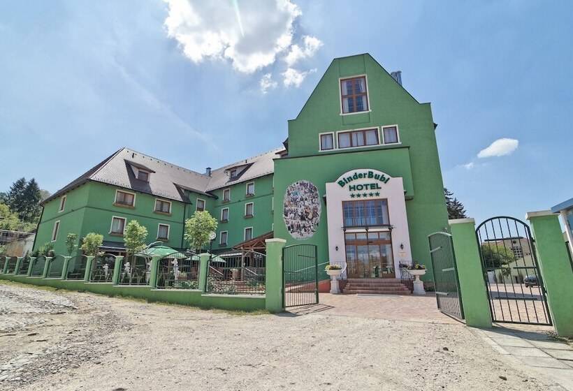 Mercure Sighisoara Binderbubi Hotel & Spa