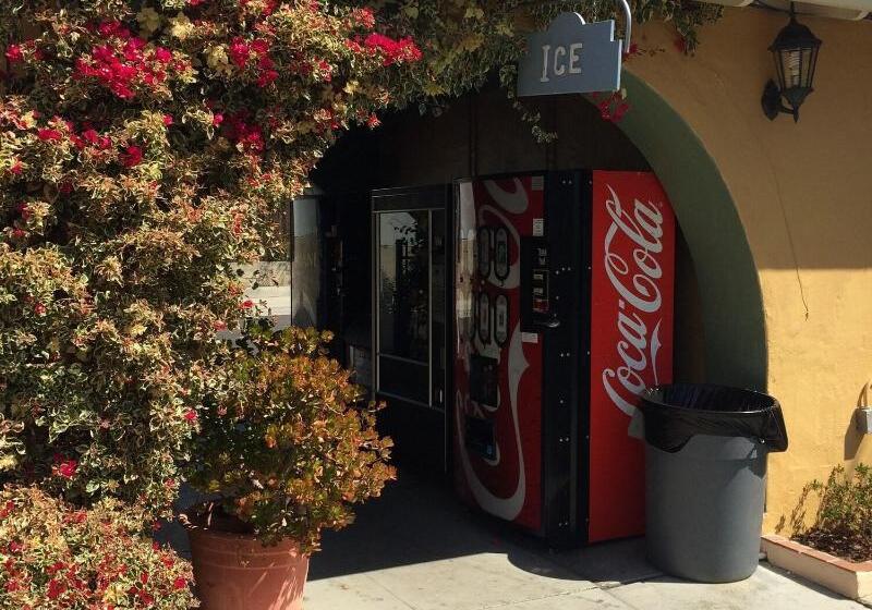 فندق Oasis Inn And Suites