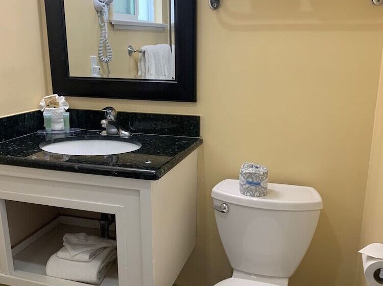 فندق Oasis Inn And Suites