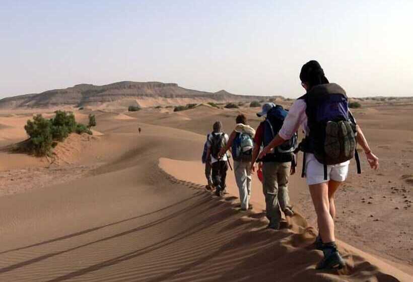 ホテル Palmeras Y Dunas