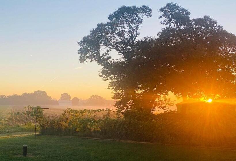 ホテル Scottish Inns Ronks