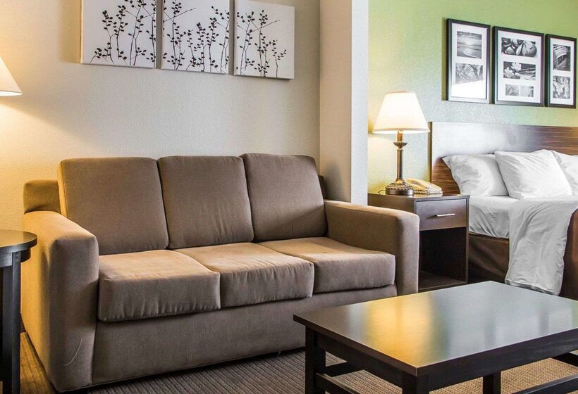 فندق Sleep Inn & Suites