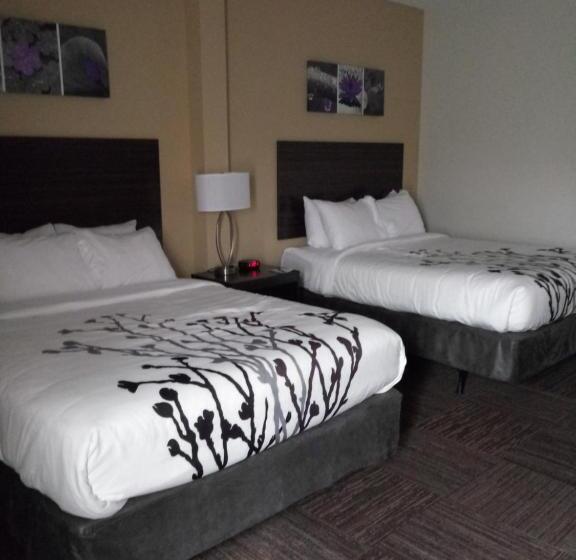 فندق Sleep Inn & Suites