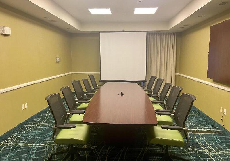 酒店 Springhill Suites By Marriott Dallas Dfw Airport East Las Colinas Irving