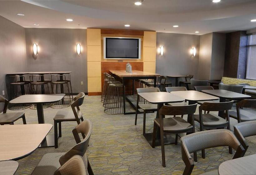 호텔 Springhill Suites Dulles Airport