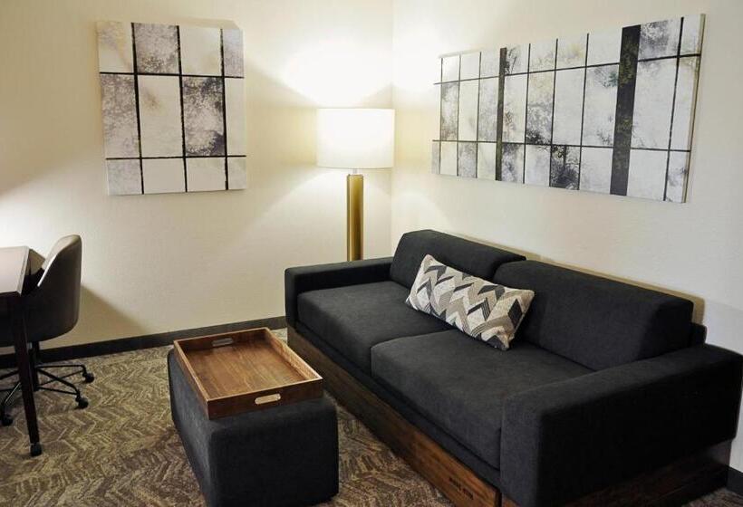 酒店 Springhill Suites Houston Katy Mills