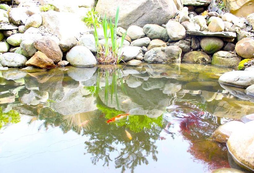 فندق Chrysalis Inn & Spa Bellingham, Curio Collection By Hilton