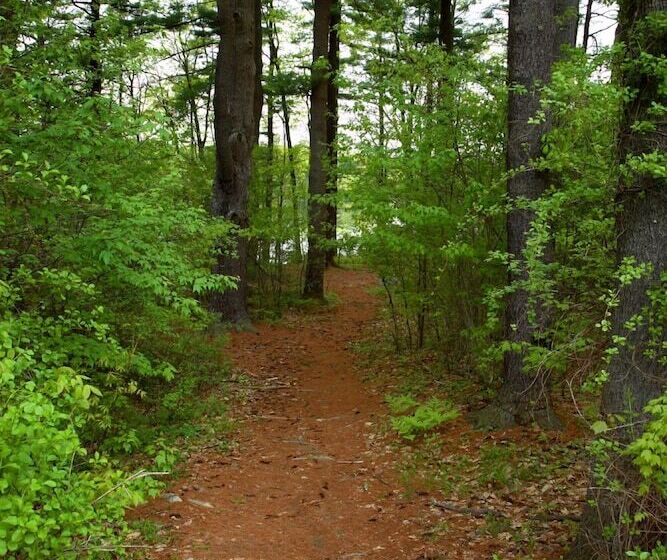 فندق Warren Conference Center And Inn