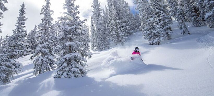 Отель Wildwood Snowmass