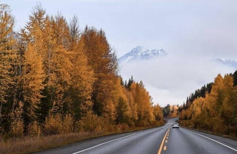 فندق على الطريق Coos Motor Inn