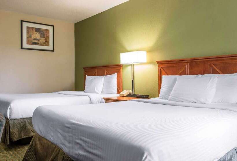 モーテル Rodeway Inn