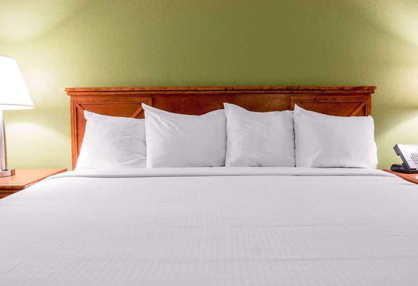 モーテル Rodeway Inn