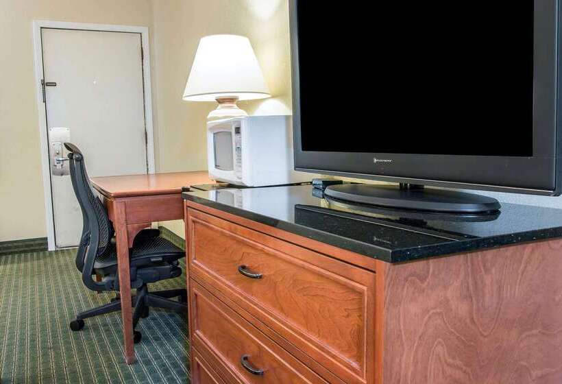 モーテル Rodeway Inn