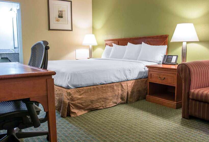 モーテル Rodeway Inn