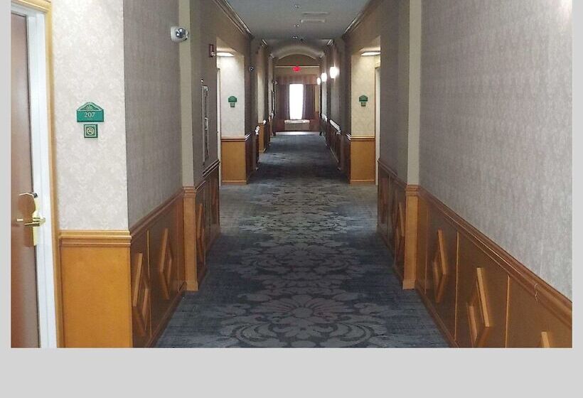 モーテル Surestay Plus Hotel By Best Western Warner Robins Afb