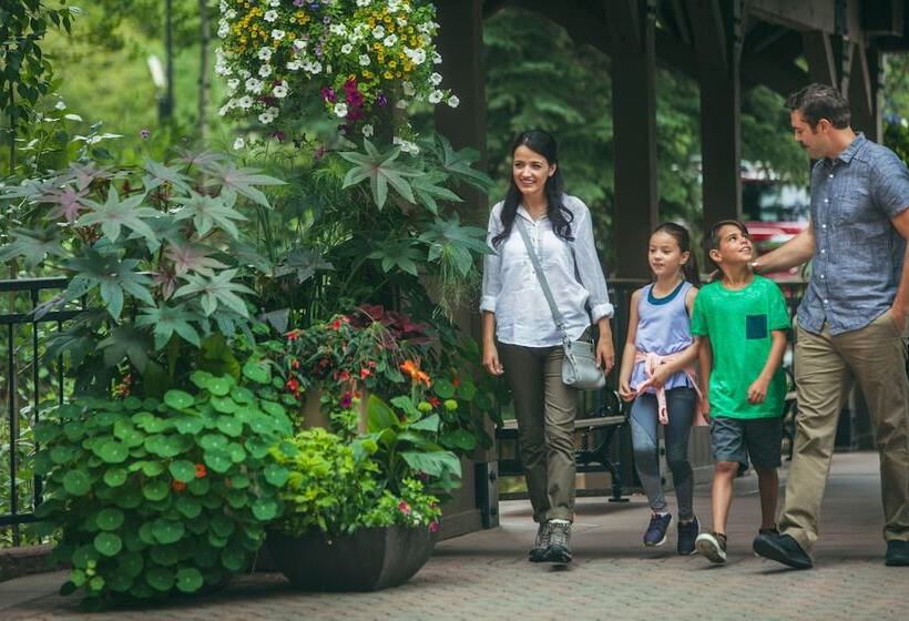 אתר נופש Townsend Place