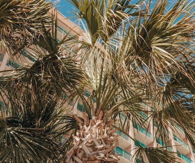 Sandcastle Oceanfront Resort South Beach