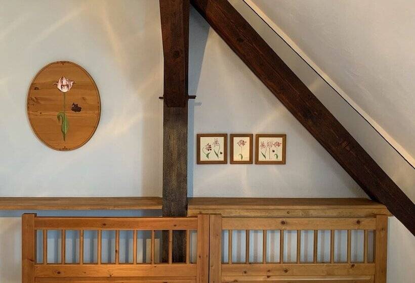 住宿加早餐  Pension Amadeus & Apartments