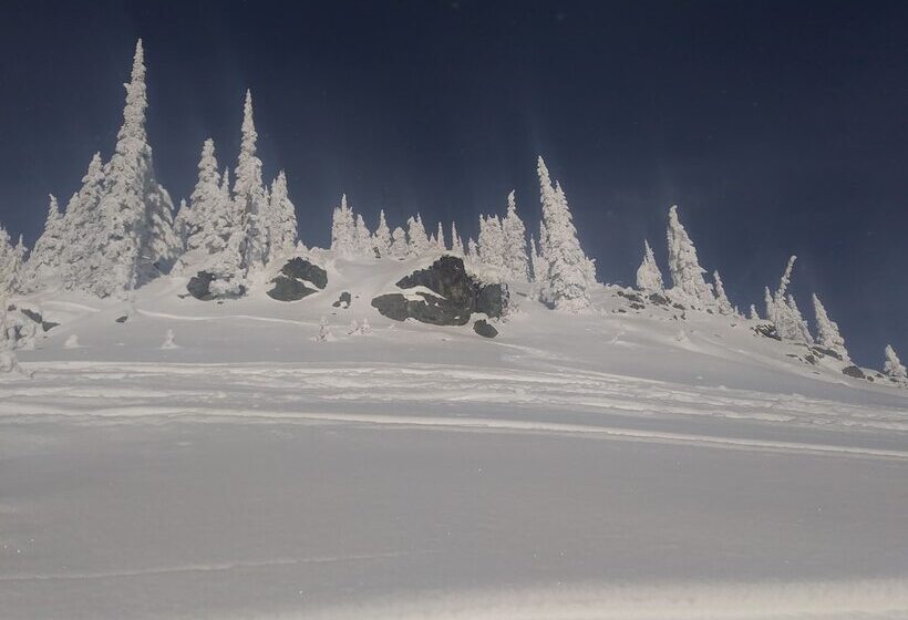 فندق على الطريق Chalet Inn