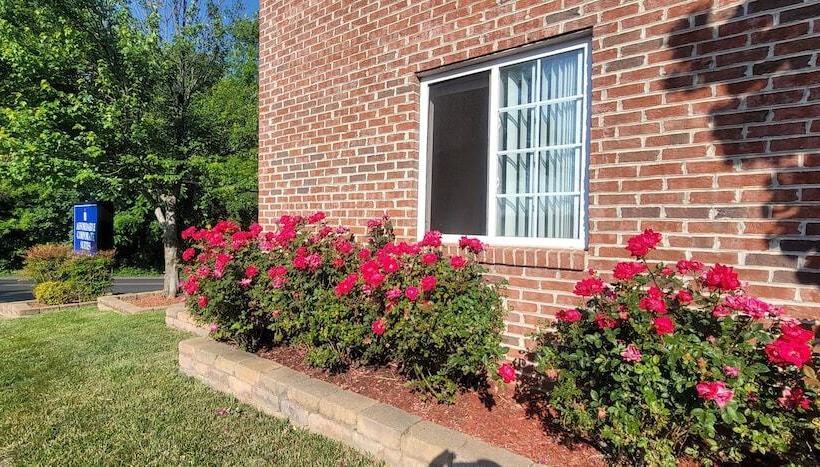 فندق Affordable Suites Of America Harrisonburg