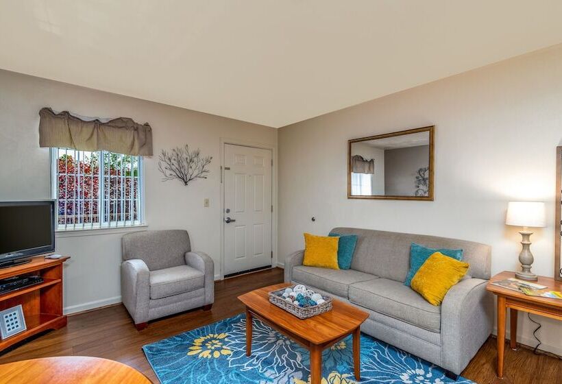 فندق Affordable Suites Of America Harrisonburg