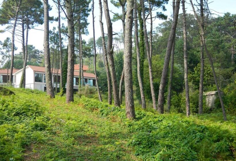 ホテル Alen Do Mar