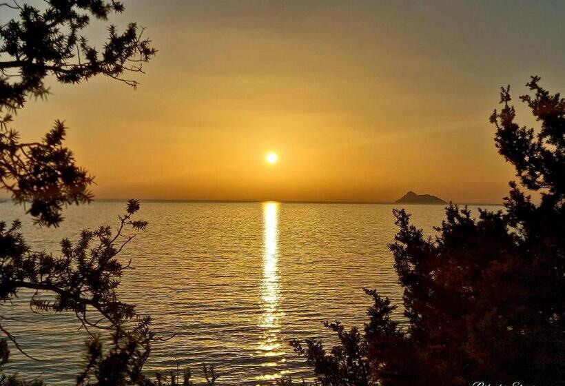 בית מלון כפרי Alonia