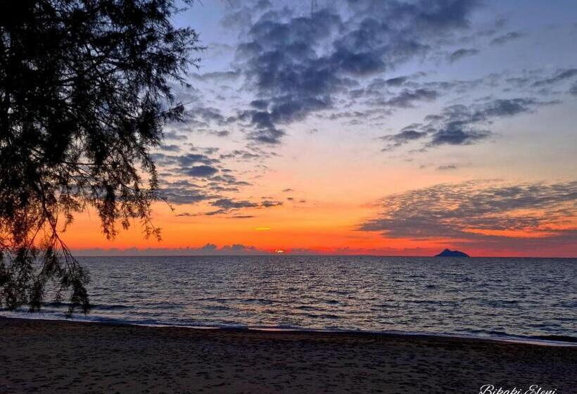 בית מלון כפרי Alonia