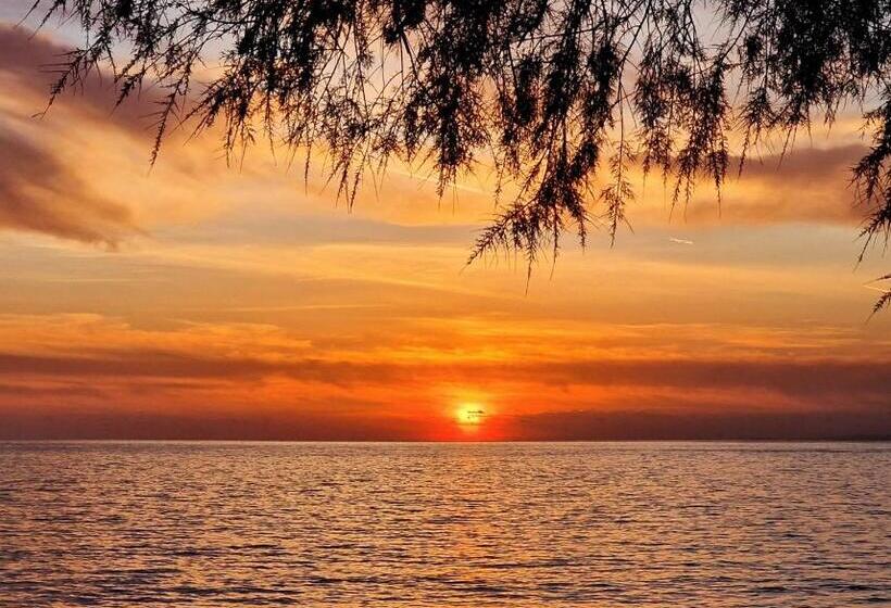 בית מלון כפרי Alonia