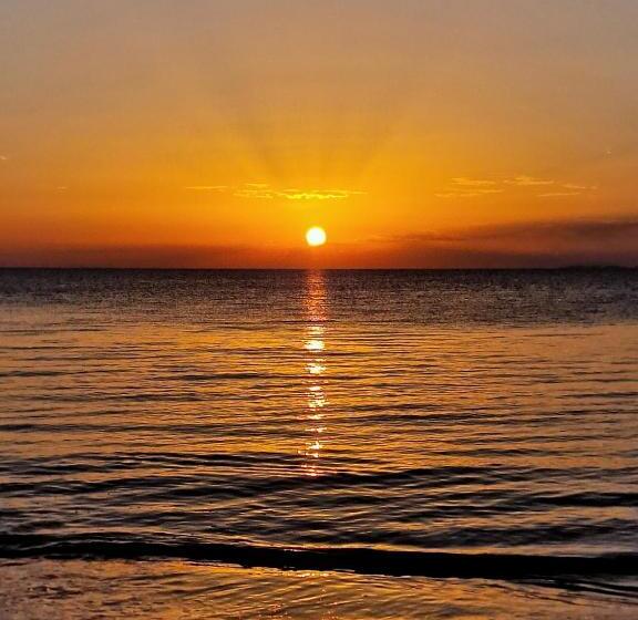 בית מלון כפרי Alonia