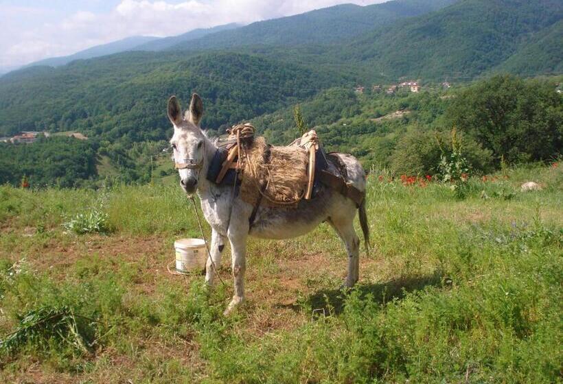 Alseides Boutique Hotel & Spa