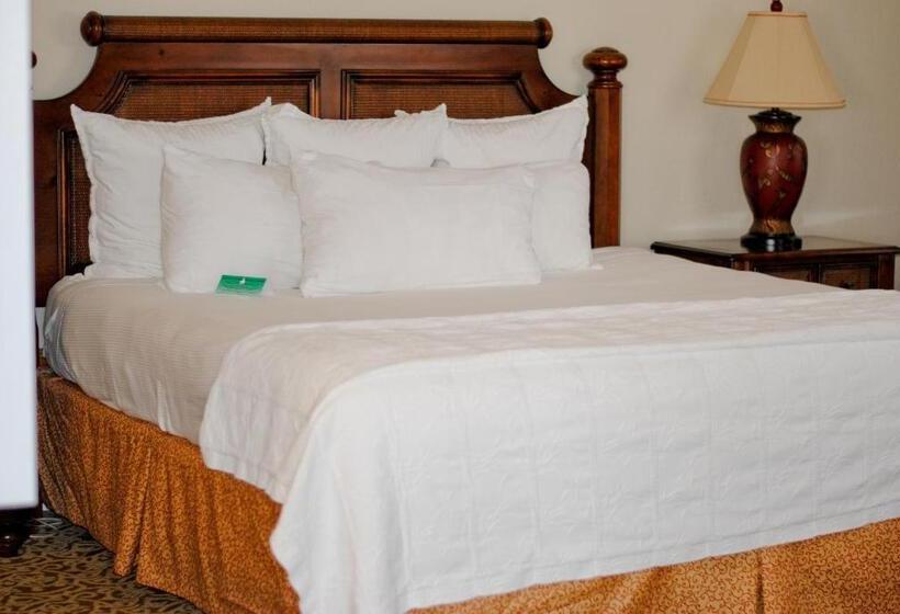 Amelia Hotel At The Beach