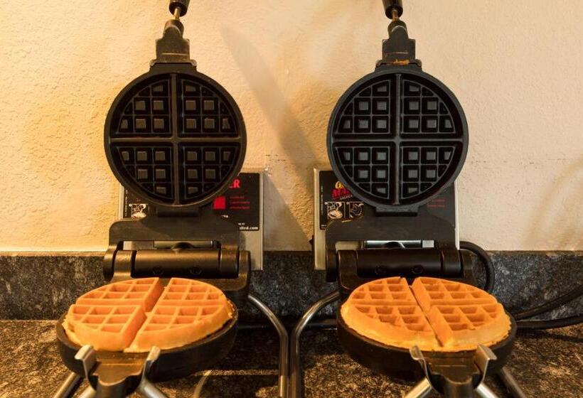 Amelia Hotel At The Beach