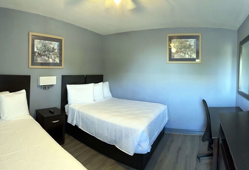 ホテル Americas Best Value Inn And Suites Groves