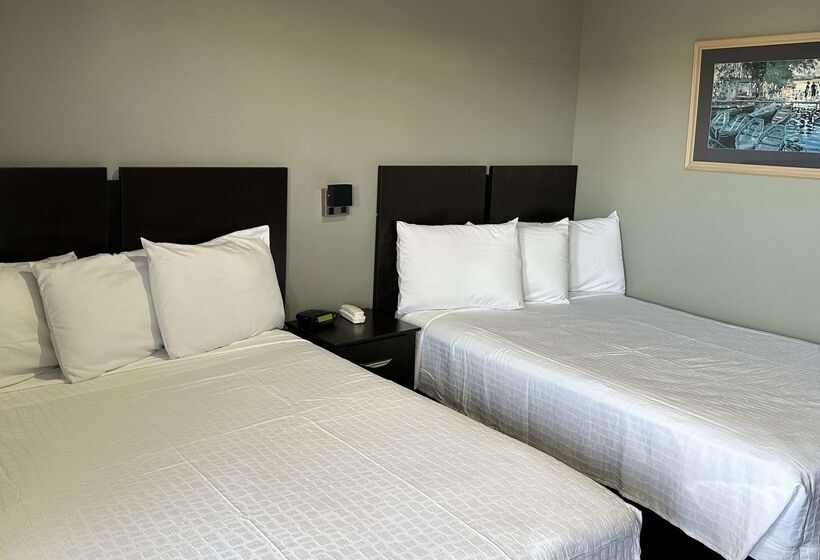 בית מלון כפרי Americas Best Value Inn And Suites Groves