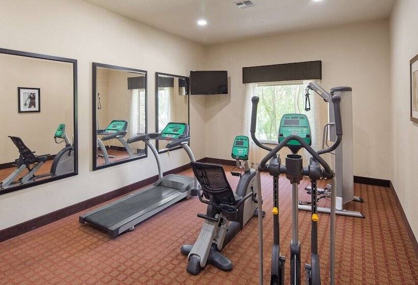 Отель Best Western Plus Goliad Inn & Suites