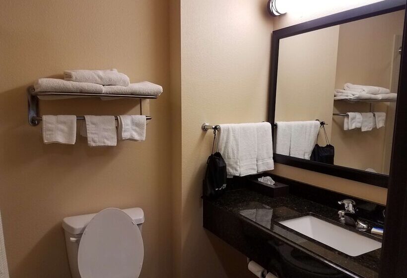 Отель Best Western Plus Goliad Inn & Suites