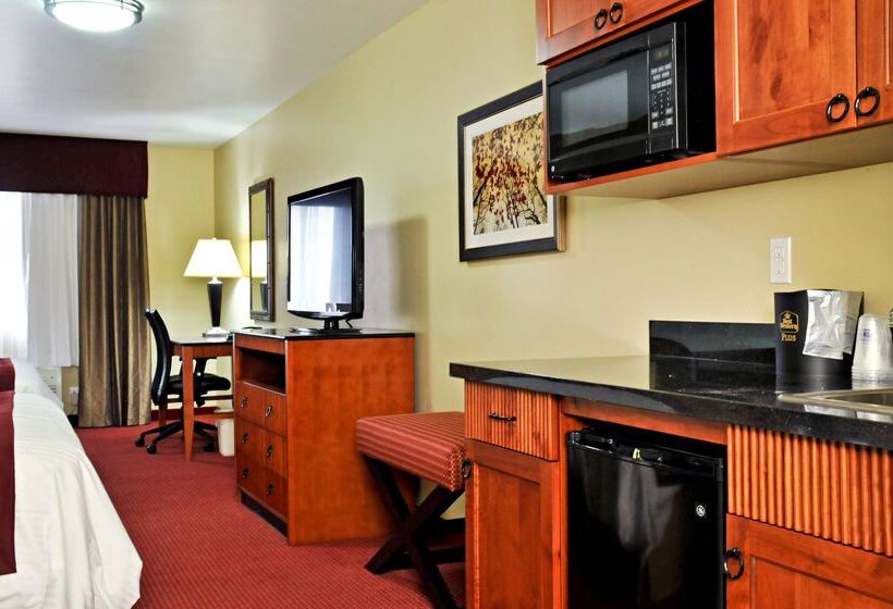 酒店 Best Western Plus Layton Park