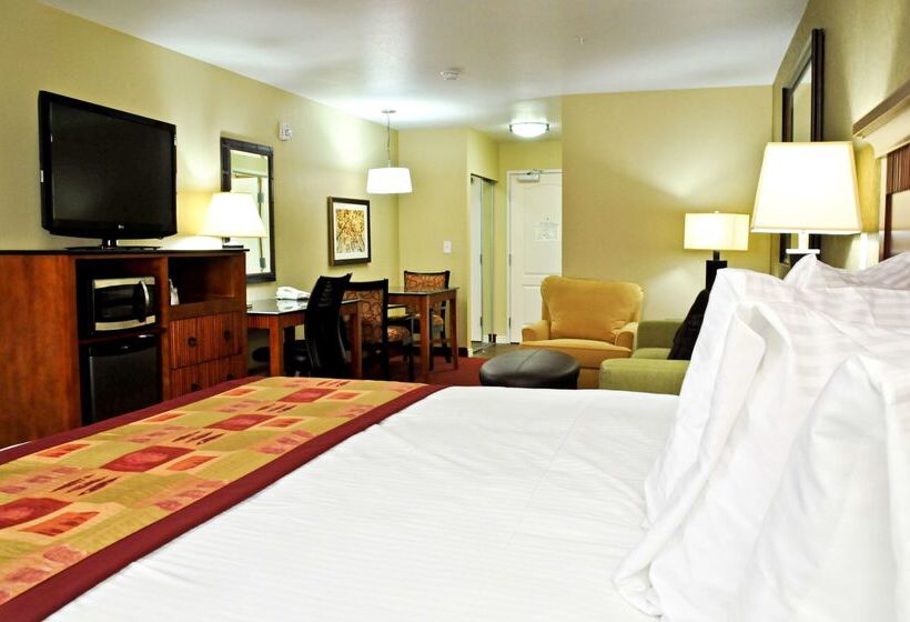 酒店 Best Western Plus Layton Park