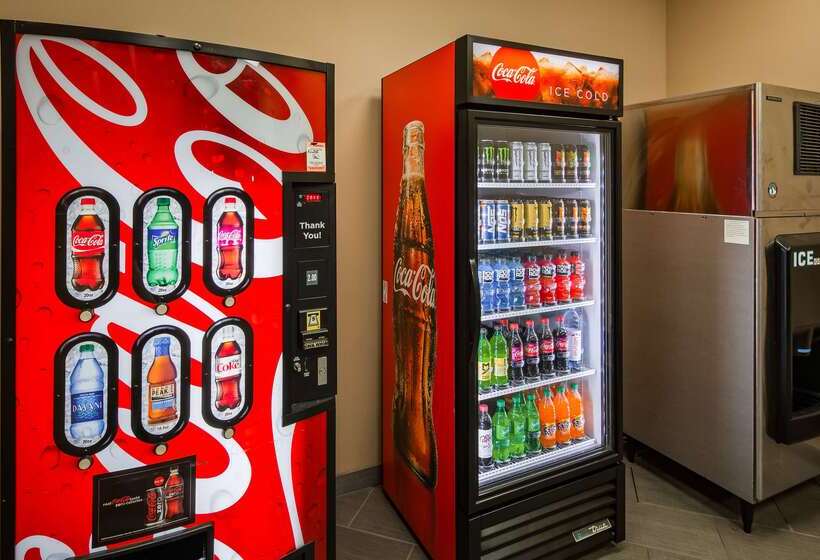 Best Western Plus Williston Hotel & Suites