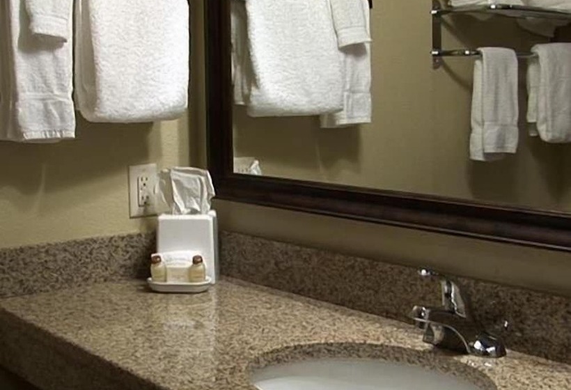 فندق Evansville Inn & Suites By Oyo