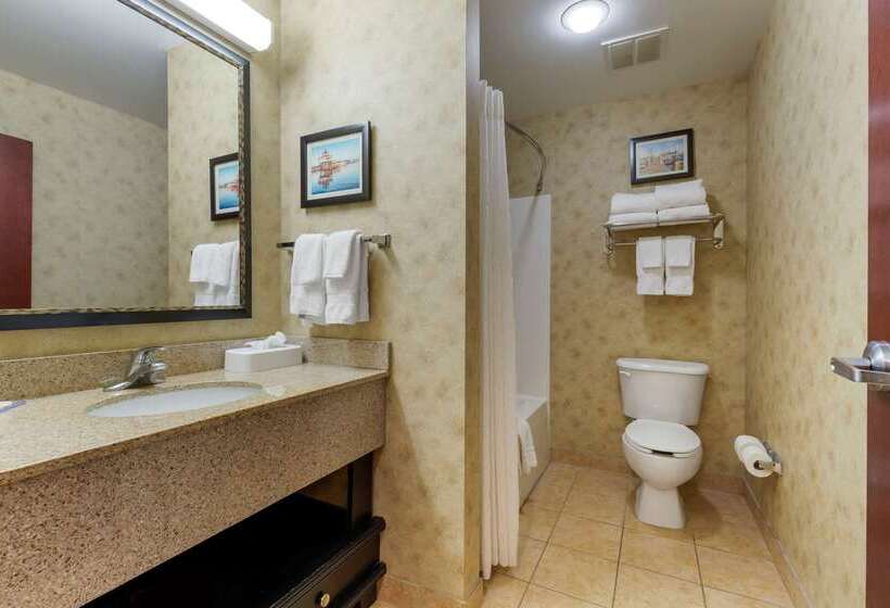 בית מלון כפרי Comfort Inn & Suites Cambridge