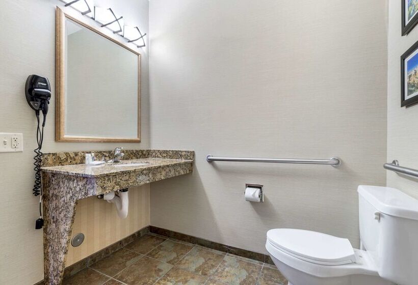 בית מלון כפרי Comfort Inn & Suites Mitchell I 90