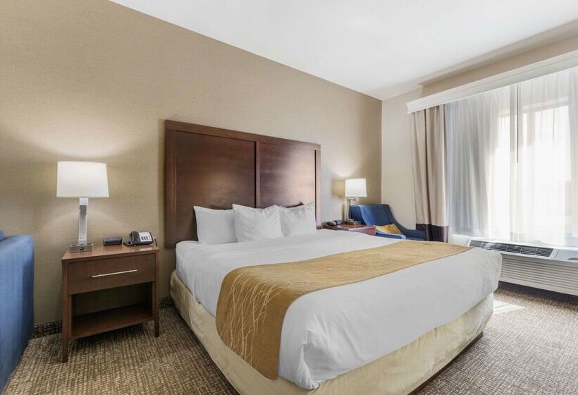 فندق Comfort Inn & Suites Mitchell I 90