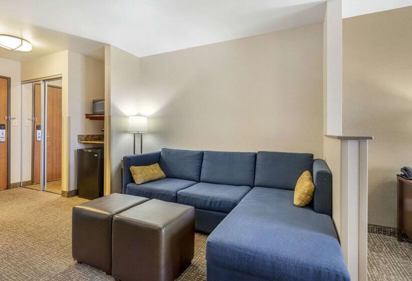 فندق Comfort Inn & Suites Mitchell I 90