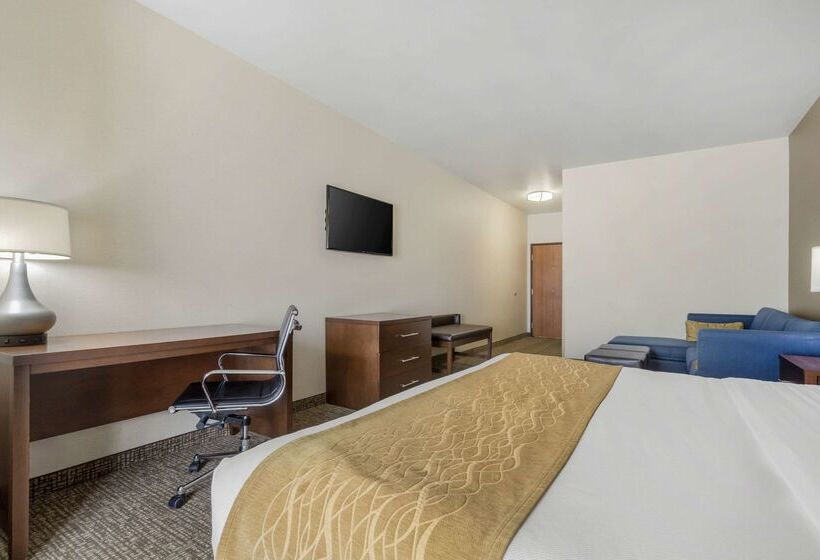 فندق Comfort Inn & Suites Mitchell I 90