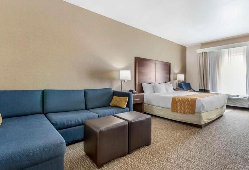 فندق Comfort Inn & Suites Mitchell I 90