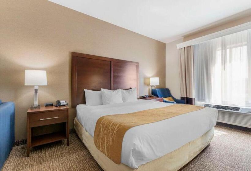 فندق Comfort Inn & Suites Mitchell I 90