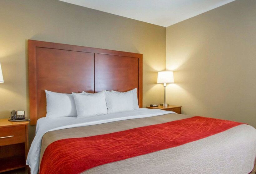 فندق Comfort Inn Bolivar