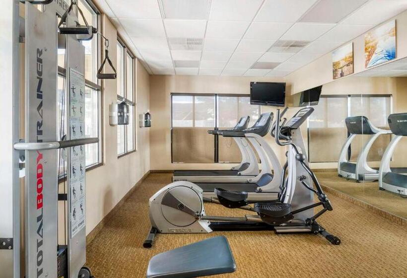 فندق Comfort Inn & Suites